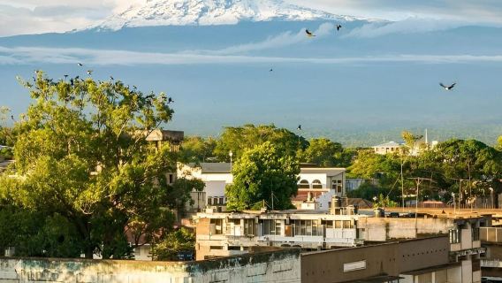 Moshi: Lawatan Sehari Penuh Persendirian dengan Lawatan Pasar