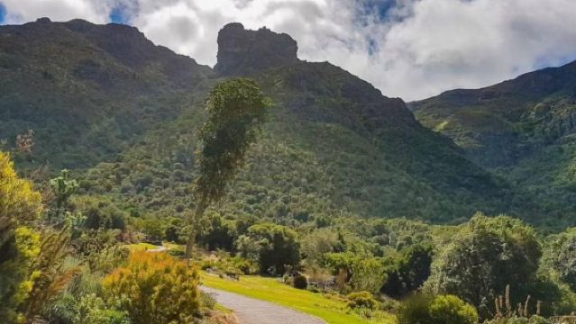 Privétour: Tafelberg, Constantia Wine & Kirstenbosch