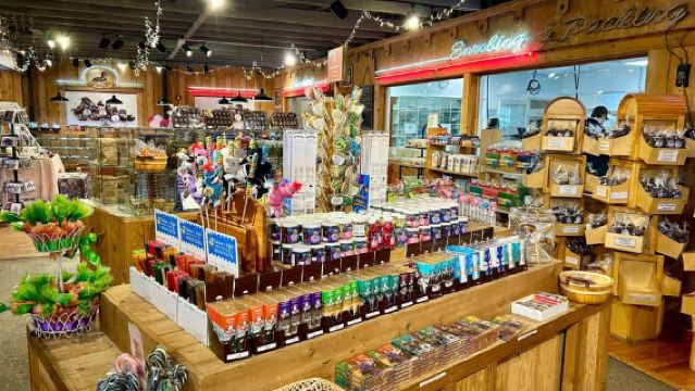 Seward: To Anchorage Full Day Transit Tour with Port Pickup