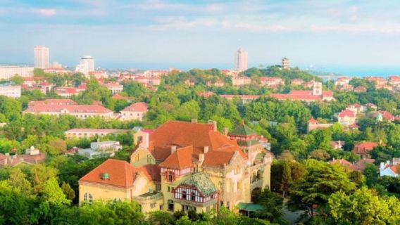 青島12大景點一日遊丨純玩6人精品團丨棧橋餵海鷗丨啤酒博物館