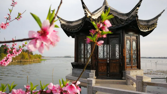 Shanghai noleggio con conducente esclusivo: Suzhou Antico Borgo di Jinxi + Antico Borgo di Tongli [Autunno a Jinxi, momento perfetto per ammirare il foliage]