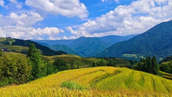 Longji Rice Terraces Long-Hair Minority Village Private Day Trip