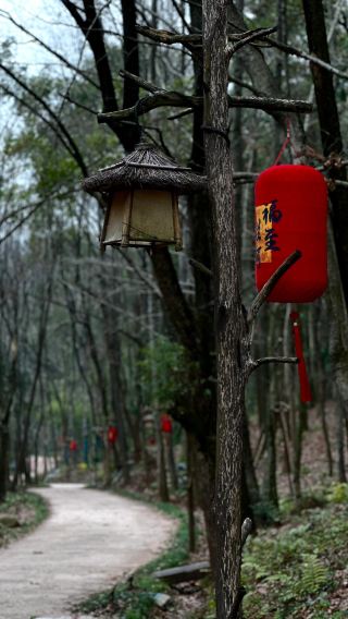 Quzhou Longyou Caves + Longyou Residential Court + Lanke Mountain 1-day tour with Chinese and English services (admission ticket not included)