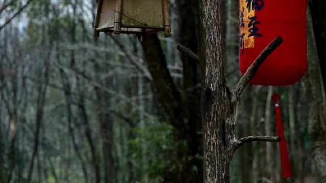 Eendaagse tour naar Longyou County in Quzhou, Zhejiang: Longyou Grotten, Longyou Folk Woningen Museum en Lankeberg, met service in Chinees en Engels