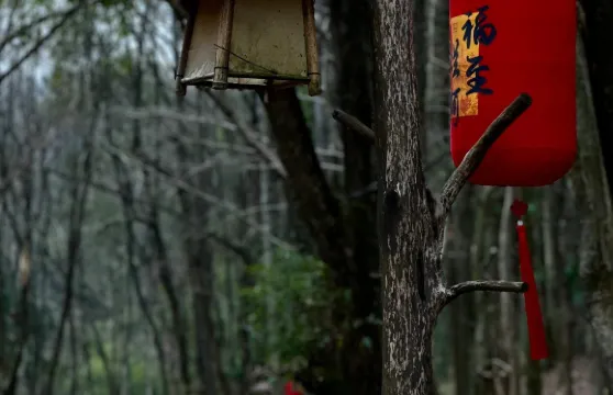 浙江衢州龍遊石窟+龍遊民居苑+爛柯山一日遊中英文服務不含門票