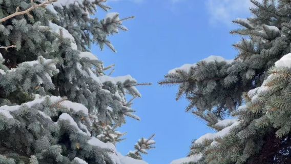 日本北海道精選札幌來回美唄 可訂多日包車 中文司導私人專享