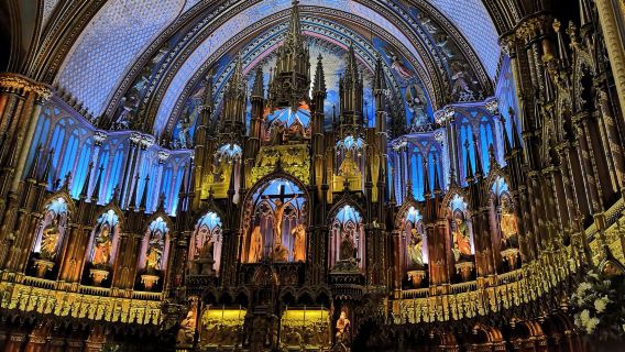 Tour di un giorno a Montréal, Canada con visita al Monte Royal, alla Basilica di Notre-Dame e al centro storico/città vecchia per scattare foto.