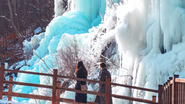 Сбор клубники + Остров Нами + Долина Юби + Маленькая французская деревня