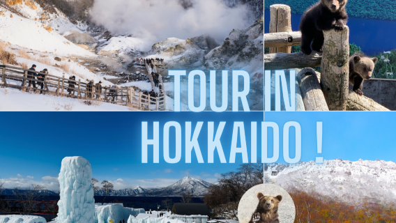 tour giornaliero di 1 giorno a Hokkaido|Lago Shikotsu & Valle dell'Inferno di Noboribetsu, Fattoria degli Orsi, Monte Showa Shinzan, Lago Toya