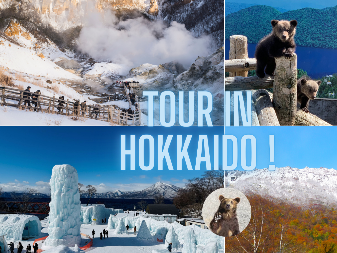 1-tägiger Ausflug in Hokkaido|Shikotsu-See & Noboribetsu Jigokudani, Bärenfarm, Shōwa-shinzan, Tōya-See