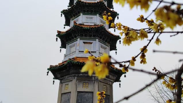 Louguantai National Forest Park + Chongyang Palace + Ancient Louguan Historical and Cultural Attraction Private Charter Day Tour