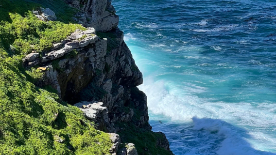 南非境內/中文導遊/地陪導遊/展會翻譯/商務翻譯/溝通無障礙