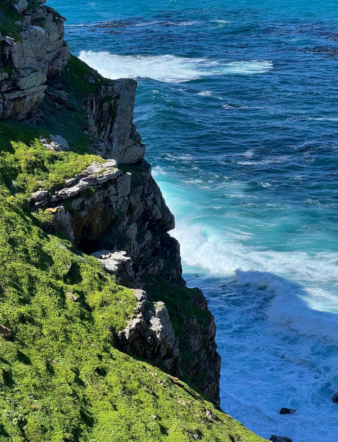 南非境內/中文導遊/地陪嚮導/展會翻譯/商務翻譯/溝通無障礙