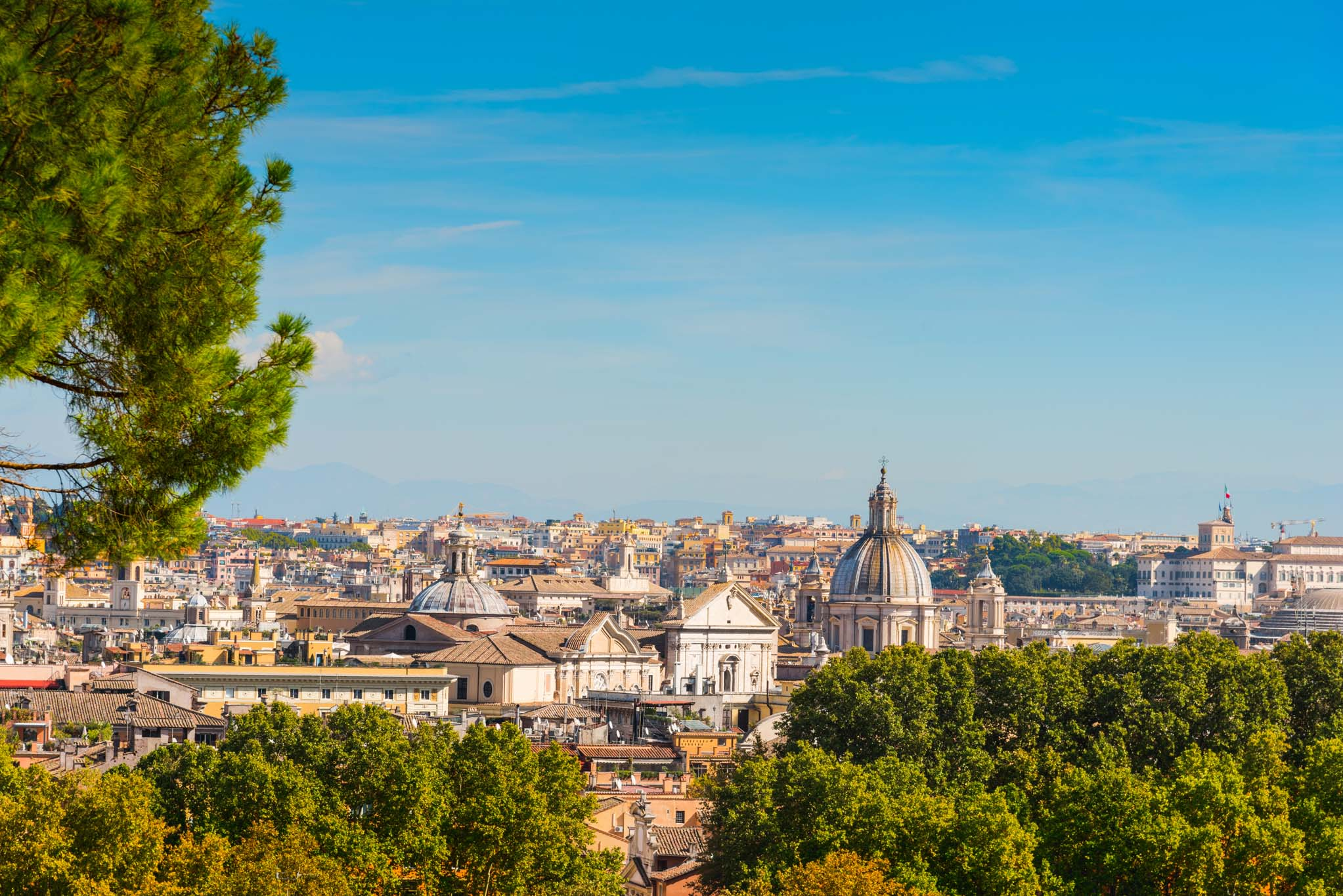 Colosseum + Arch of Constantine + Janiculum Hill + Neptune Fountain