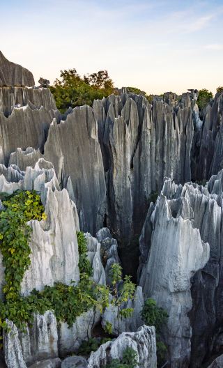 Kunming Must-Visit! Stone Forest Group Day Tour: Unveil the Mystique of Karst Landscapes