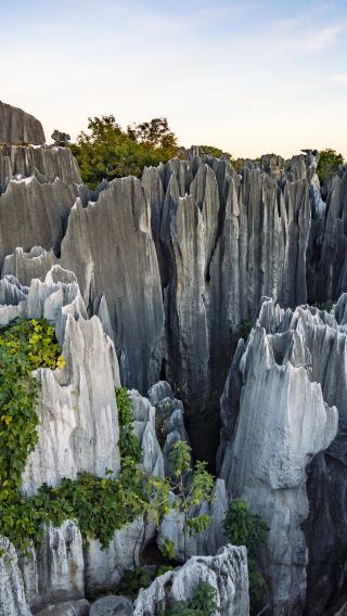 Kunming Must-Visit! Stone Forest Group Day Tour: Unveil the Mystique of Karst Landscapes