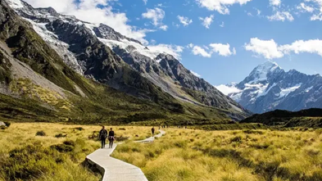 紐西蘭南島庫克山一日遊【特卡波來回庫克山（單程/來回可選）】