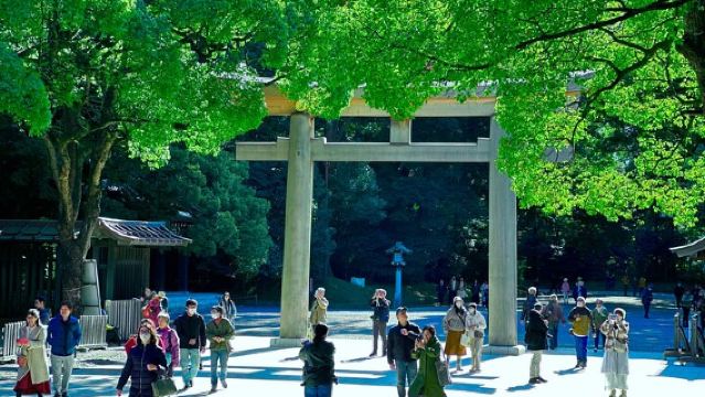 Tokyo : Visite culturelle à pied du sanctuaire Meiji