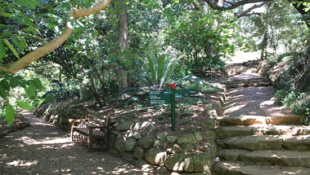 Tour privado por el Jardín Botánico y las Bodegas Groot Constantia