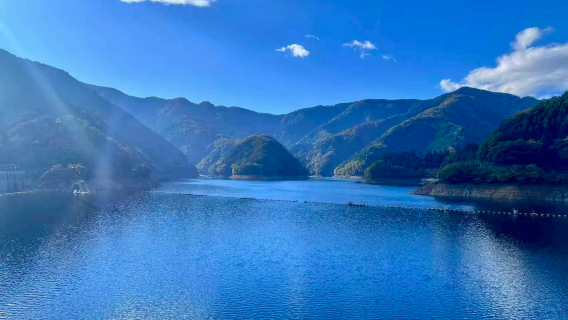 Lawatan Sehari Sewaan Peribadi dari Tokyo: Rahsia Hutan dan Tasik Okutama