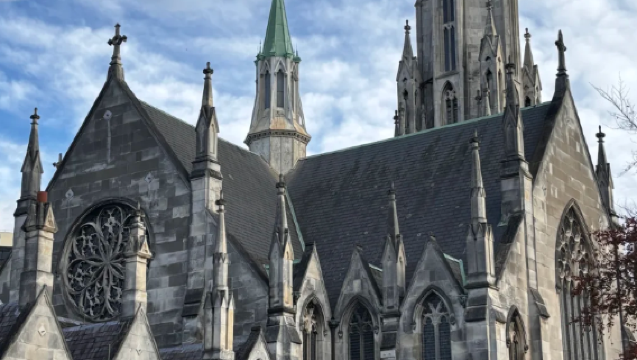 New Zealand Dunedin: Lawatan Sehari Klasik di Bandar (Sokongan Pelanggan Eksklusif)