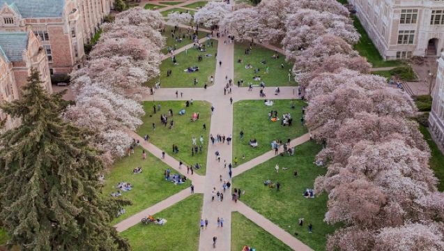 西雅圖華盛頓大學|煤氣廠公園親子包車一日遊