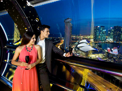 [Singapore Flyer] Singapore Flyer admission ticket/commander experience ticket/premium champagne exp