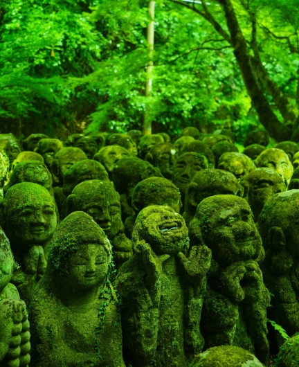 大阪來回京都一日遊：三千院+貴船神社+嵐山