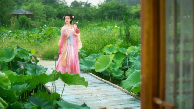 Φωτογράφιση ταξιδιού στο Λόνγκκου[Συνοδευτική φωτογράφηση στο σπίτι, φωτογράφηση οικογενειών και ζευγαριών, φωτογραφίες, σύντομα βίντεο, διαφημιστικά βίντεο, πορτραίτα, φωτογράφηση γάμου, όλα τα αρνητικά περιλαμβάνονται, μετάφραση]