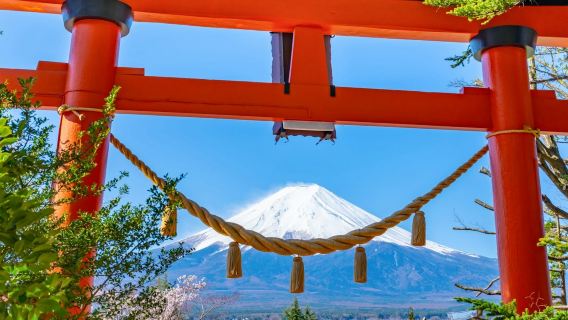 Monte Fuji: Tour Giornaliero Guidato da Tokyo