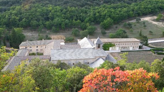 Avignon pergi-balik: Fontaine-de-Vaucluse + Biara Sénanque sewaan peribadi + tidak termasuk tiket masuk