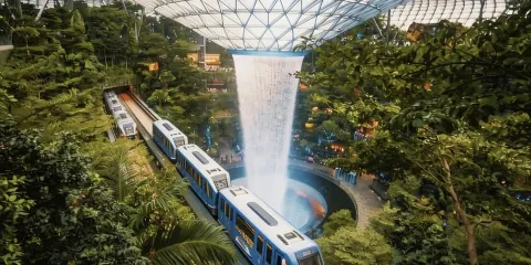 新加坡國立大學/南洋理工大學-名校學生帶隊/雙校/校園導覽/講解