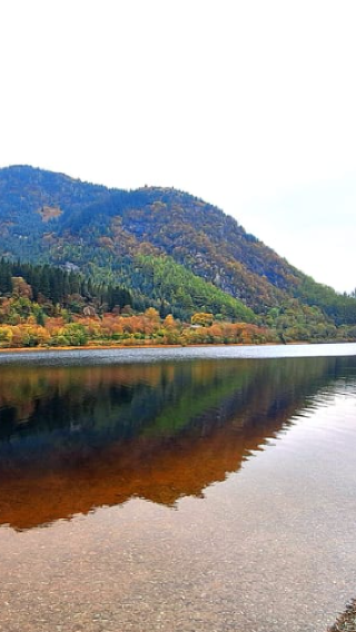 1-day tour to Scottish Highlands + Loch Ness + Glen Coe - group of 16 people + English-speaking guide