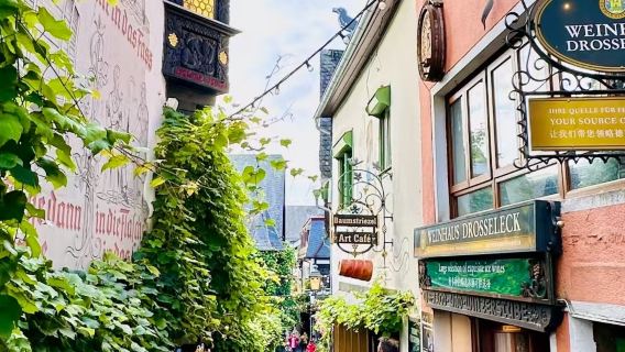 Frankfurt + Rüdesheim + Lembah Rhine laluan klasik sewaan peribadi lawatan sehari