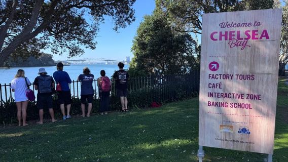 Auckland: Harbour Bridge Kayak & Optional Sugar Factory Tour