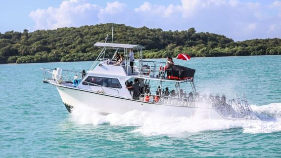 Fajardo: Culebra Island Guided Snorkeling Boat Tour