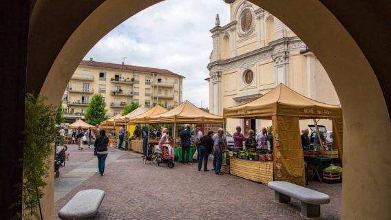 Alba: Historic Town Highlights Guided Walking Tour