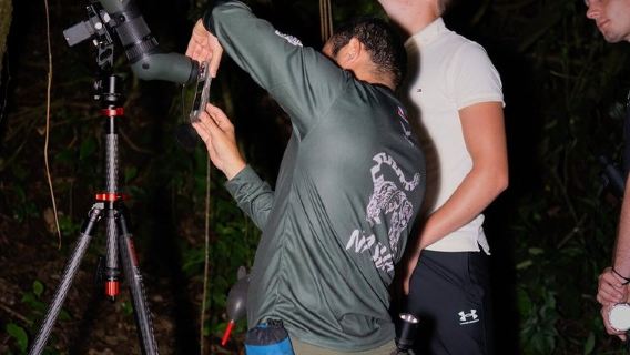 Small Group Night Walking Tour in Monteverde