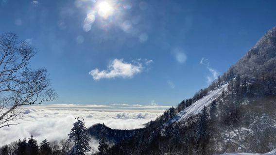 日本札幌-大雪山公園-黑岳纜車-可定制【中文包車-舒適純淨】