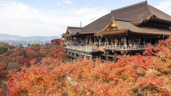 【毎日出団】京都三大名所めぐり入場チケット付き | 金閣寺+銀閣寺+清水寺