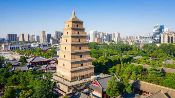 Pasea por el templo imperial Daci'en de la dinastía Tang y degusta los fideos de ternera, especialidad de Shaanxi (opciones disponibles: entrada/visita guiada con explicaciones, etc.)