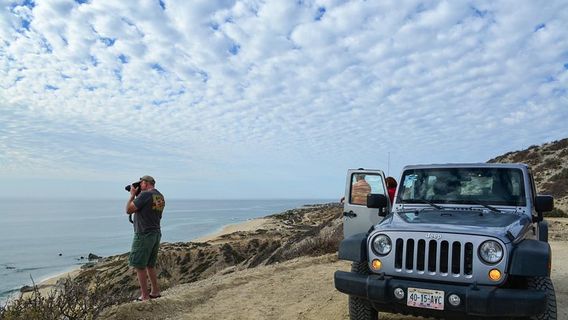 Cabo San LucasTours