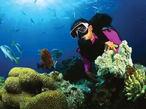 Scuba Diving in Bentota