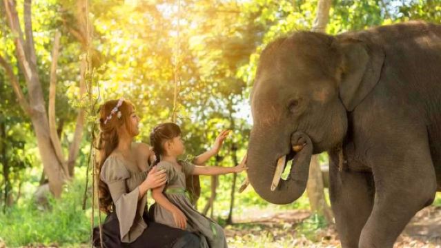 普吉查龍大象營+普吉鎮一日遊【私家小團/中文司機服務】