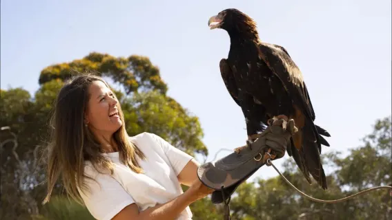 Kangaroo Island 1-day tour with Food and Scenery [Includes Ferry, Lunch, Wine Tasting, and Adelaide Transfer]