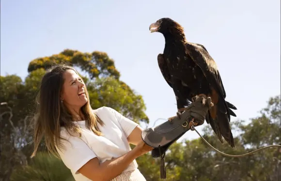 南澳袋鼠島美食美景一日遊【含輪渡+午餐+品酒+阿德萊德接送】