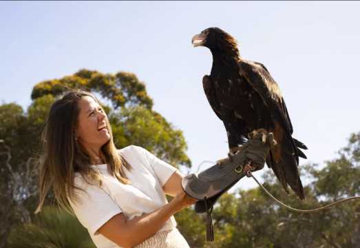 1-day Kangaroo Island Gourmet and Scenic Tour [Includes Ferry + Lunch + Wine Tasting + Adelaide Transfers] AUD 377.78