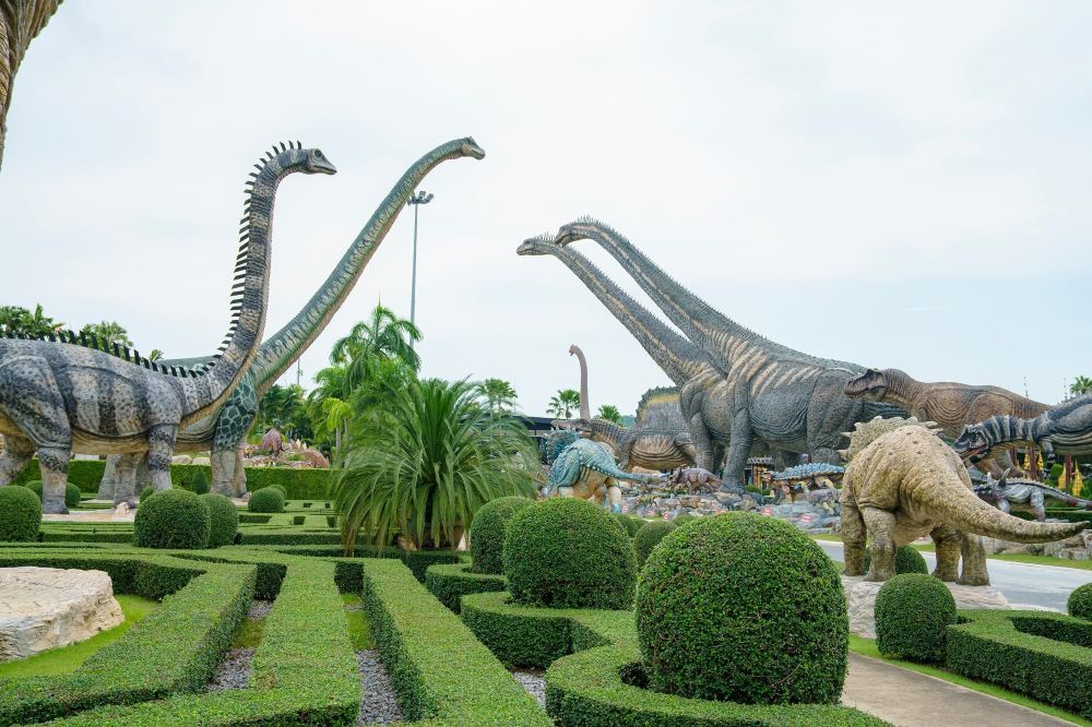 Nong Nooch Tropical Garden Performance in Pattaya, Thailand | Tour Bus | Elephant Ride | Thai Buffet Lunch | Various Option Available