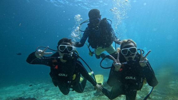 Cebú: Experiencia de esnórquel + 3 actividades acuáticas