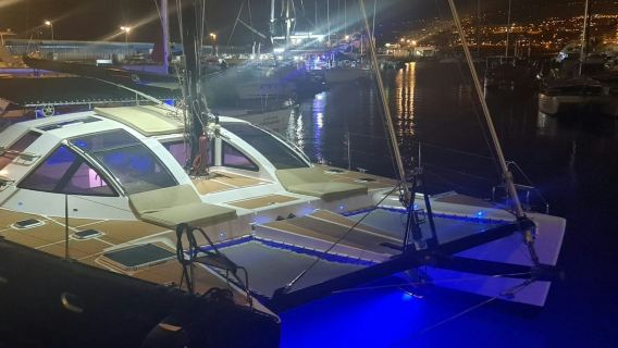 Tenerife: Excursión en catamarán de 3 horas para avistar ballenas y delfines con servicio de catering